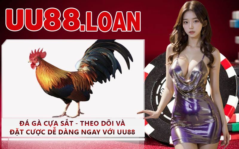 Đá Gà Cựa Sắt - Theo Dõi Và Đặt Cược Dễ Dàng Ngay Với UU88